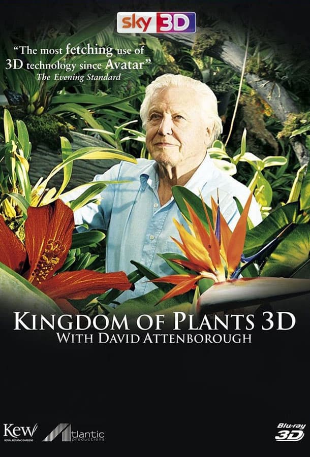 В королевстве растений / Kingdom of Plants 3D